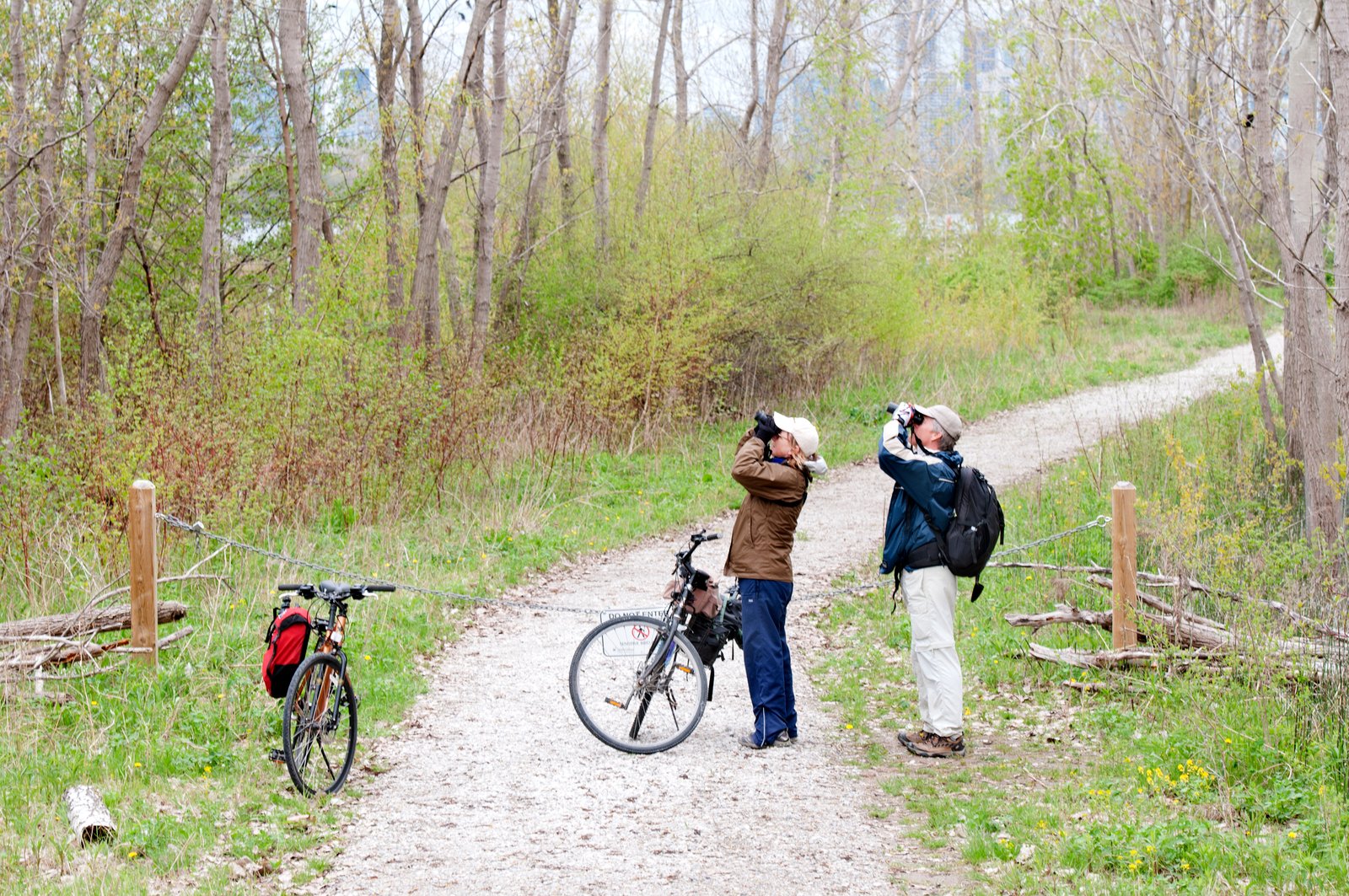 64514c763af8b9d1c4be2425_Depositphotos_25254695_L